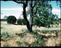 DEN-031c2p_TIF_MSTR.tif