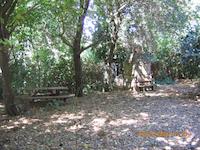 IMG_0464.JPG