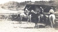 Rodeo.tif