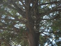 DSCN2828.JPG