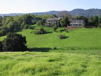 img_001_0215_44 Coyote Hill from Woods7.jpg