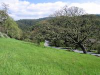 img_001_0122_210  slope.jpg