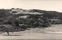 Frog pond Thjistle Windy Hill 1970.jpg