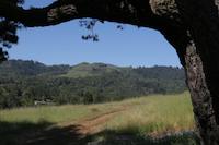 Portola Valley scene 7118.JPG