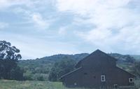 BUI-052d_Hatfield barn.tif