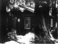 1976 Teachers Redwood Cottage.jpg