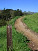 img_001_0025_116 Deer Path2.jpg