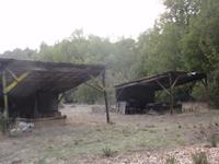 P2047367_backyard.jpg
