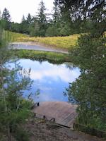 IMG_7057.JPG