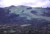 PVR. Windy Hill.jpg