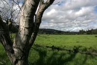 Meadow Portola Rd 5.jpg