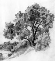 GAL-037d_JPG_MSTR.jpg