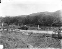 1906 Portola Rd looking  SW.tif