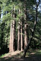 IMG_7139.JPG
