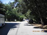 IMG_0453.JPG
