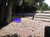 IMG_0968.JPG