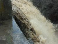 SEA-D-009d_JPG_MSTR.jpg