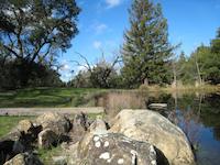 Duck pond PVRanch 2.JPG