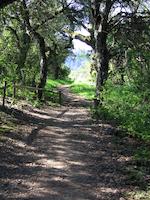 265  Sweet Springs near Acorn.jpg