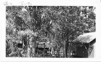 CAT-006c1p_TIF_MSTR.tif