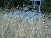 IMG_3367.jpg