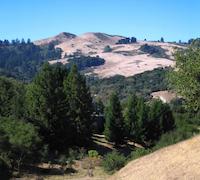 Fall on Windy Hill.JPG