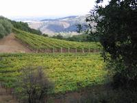 Portola Valley scene 7056.JPG