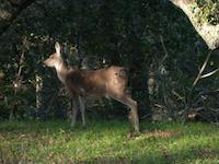 DSCN2599.JPG