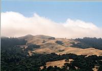 Spring ridge summer.tif