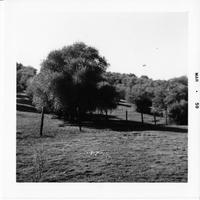 ALL-005c1p_TIF_MSTR.tif