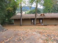 IMG_0584.JPG