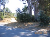 IMG_0471.JPG