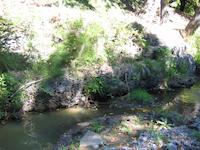 IMG_0408.JPG