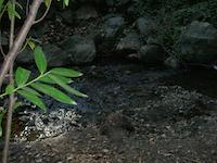 DSCN2566.JPG