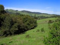 img_001_0254_74 From Caolmine to Windy Hill.jpg