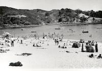 Searsville beach.tif