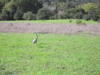 IMG_7880.JPG