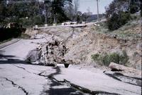Picture7.jpg