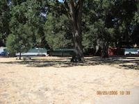 IMG_0475.JPG