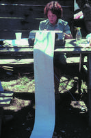 CAS-I-006d_JPG_MSTR.jpg