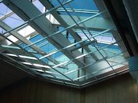 IMGP9174.JPG