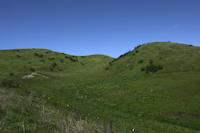 Windy Hill west side.jpg