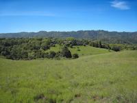 IMG_1375.JPG