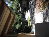IMG_0413.JPG