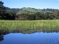 73 Frog pond view.jpg