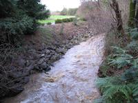 Los Trancos creek PVR  winter rains.JPG