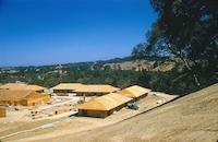 Sequoias - Aug 1960.jpg