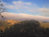 Summer fog of PV.JPG