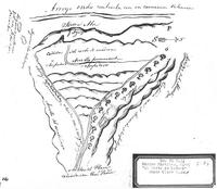 El Corte de Madera.jpg