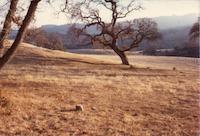 img_001_0171_26 Bovet Ranch Fall '75.jpg